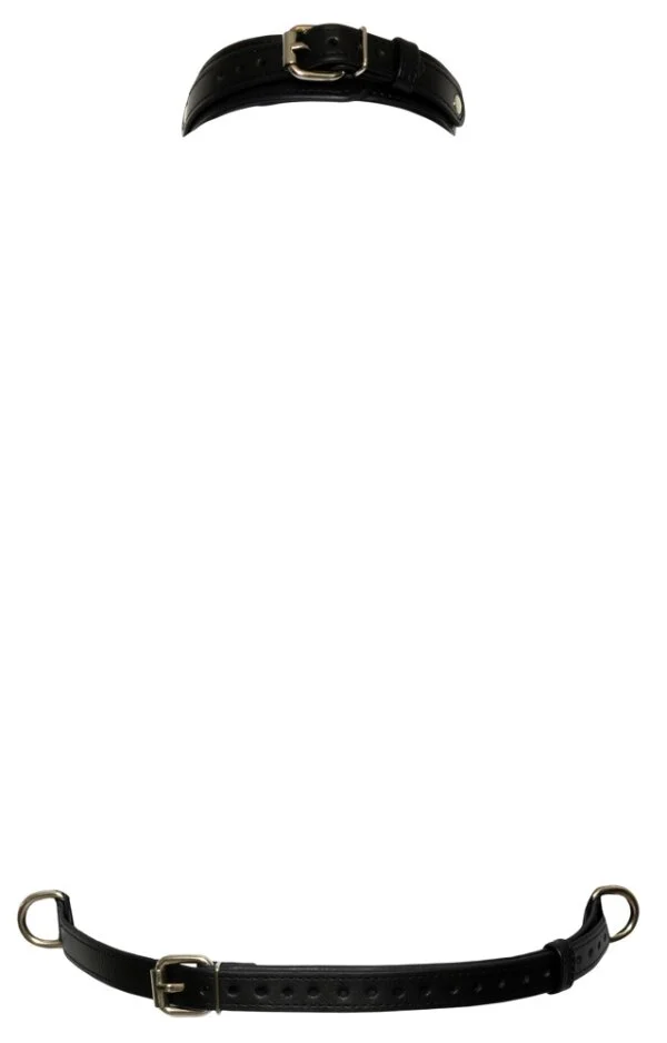 Brustharness – Bild 5