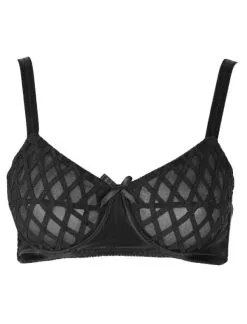 Lee Kleimann BH NY Mesh