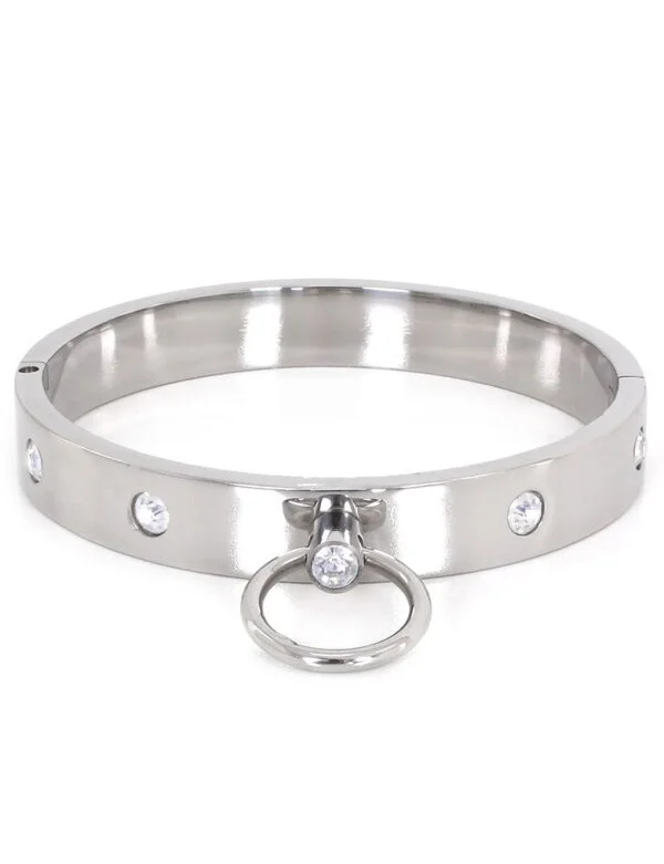 Stahlhalsband Mit Glitzersteinen